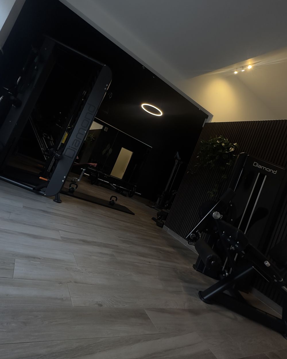 Sala attrezzi del centro privato di personal training LEUX ad Arco